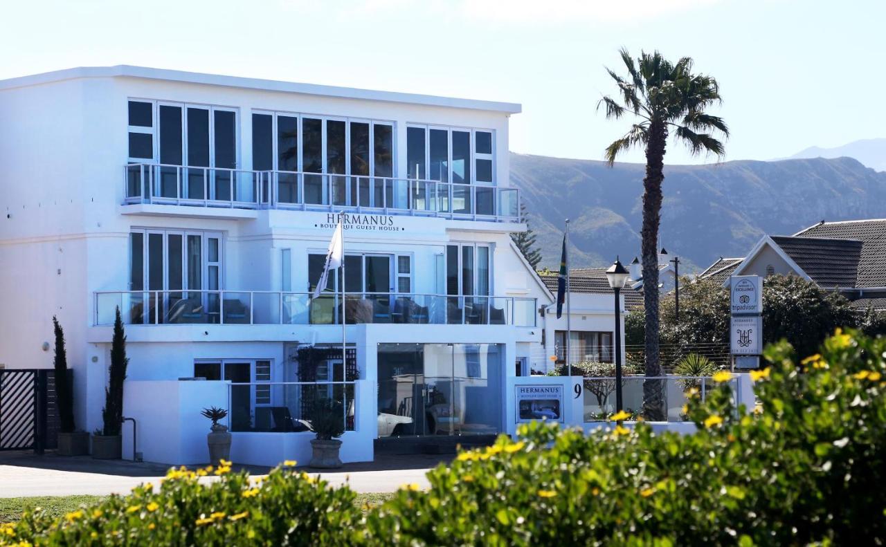 Hermanus Boutique Guest House Exteriér fotografie